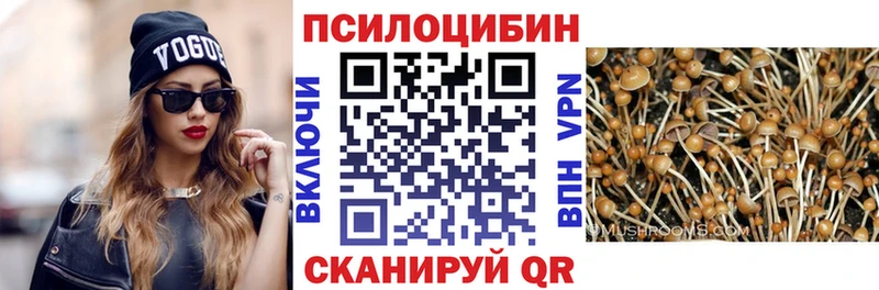 Псилоцибиновые грибы Psilocybe  Купить где  Георгиевск 